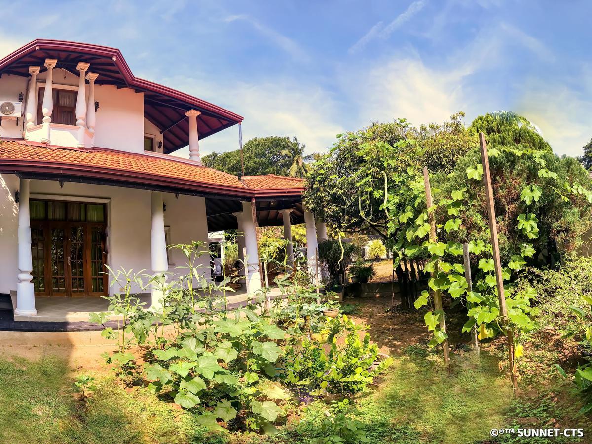 Ceylon Pearlwing Resort Negombo Extérieur photo